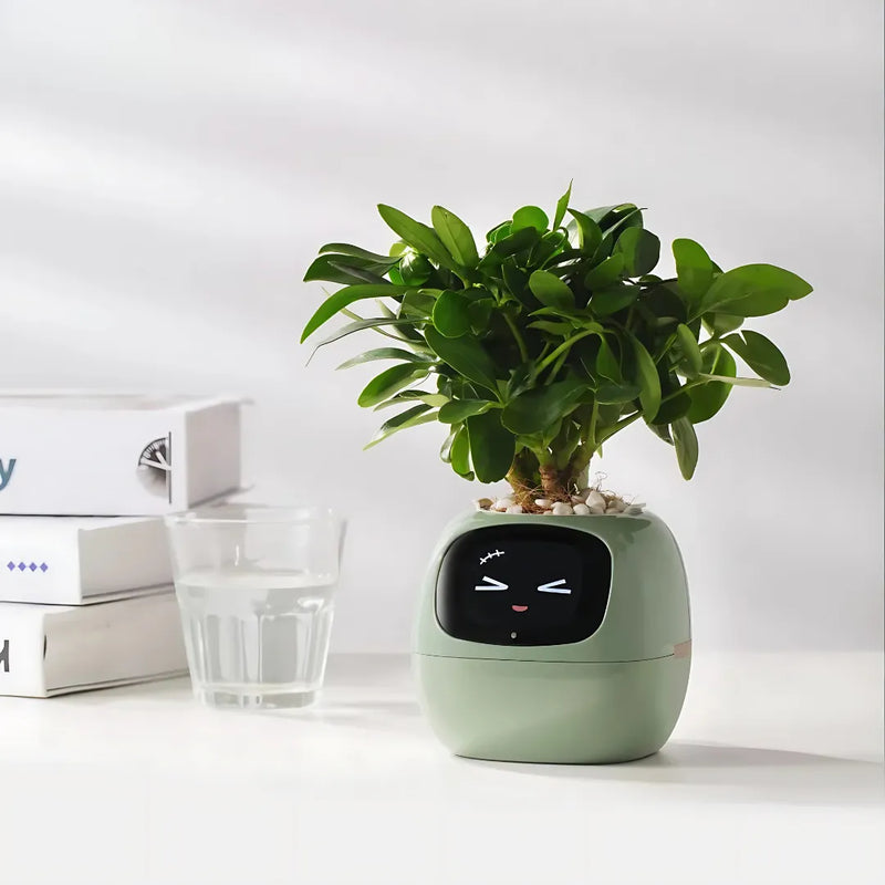 Vaso Inteligente Com Tela IPS, Sensor 7 em 1 e App Tuya Smart Life | Innova Fácil