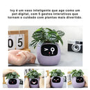 Vaso Inteligente Com Tela IPS, Sensor 7 em 1 e App Tuya Smart Life | Innova Fácil