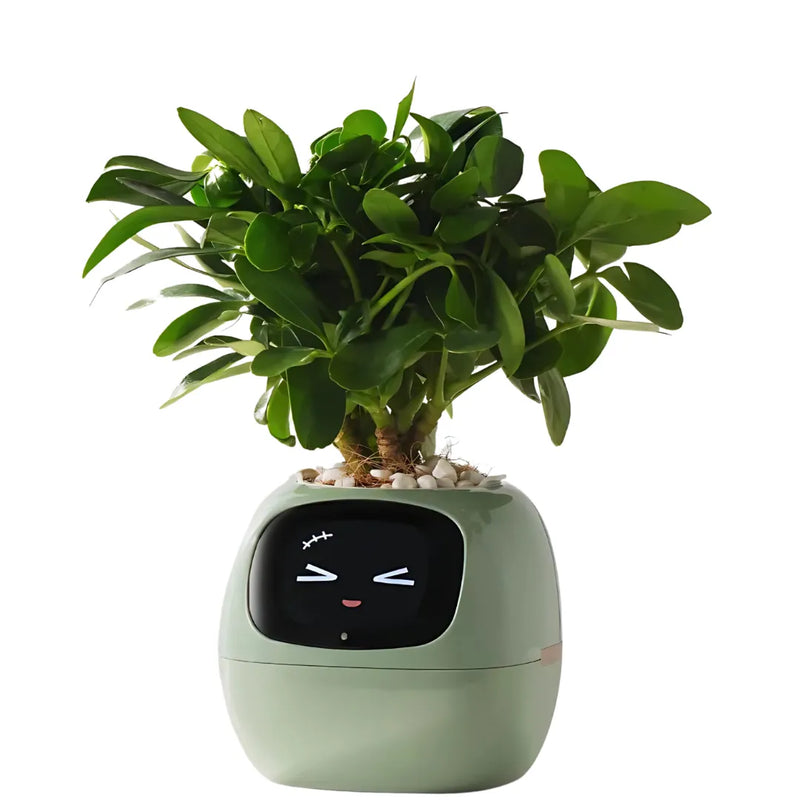 Vaso Inteligente Com Tela IPS, Sensor 7 em 1 e App Tuya Smart Life | Innova Fácil