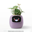 Vaso Inteligente Com Tela IPS, Sensor 7 em 1 e App Tuya Smart Life | Innova Fácil